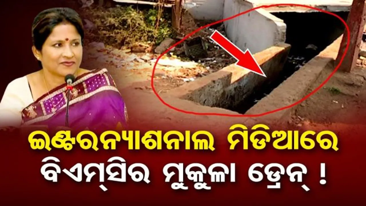 ଚକାଚକ୍‌ ସହର ଭିତରେ ନାଳରେ ପଡ଼ିଗଲେ କୋରିଆ ଫଟୋଗ୍ରାଫର