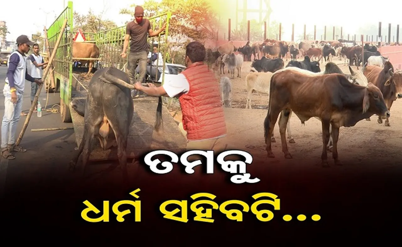 ଧର୍ମ ସହିବଟି!