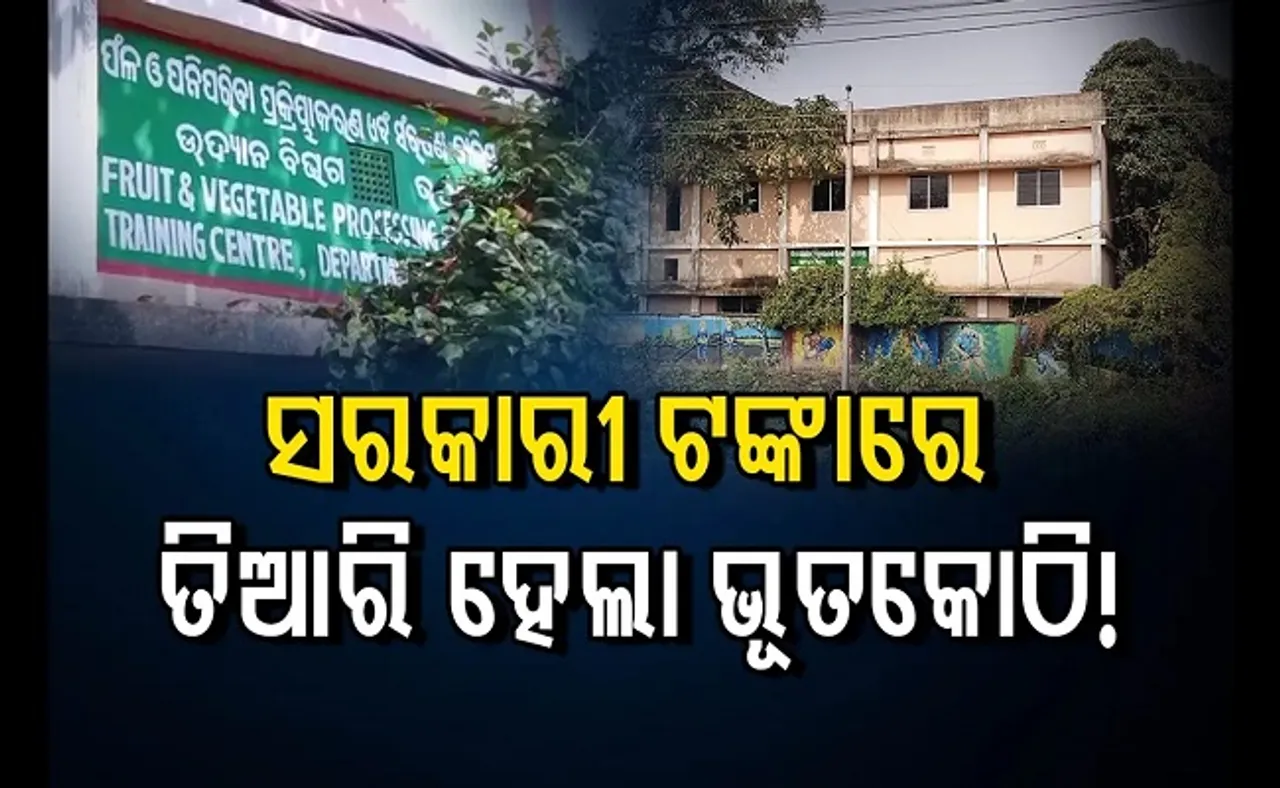 ଭୂତଙ୍କ ପାଇଁ କୋଠା କଲେ ସରକାର!