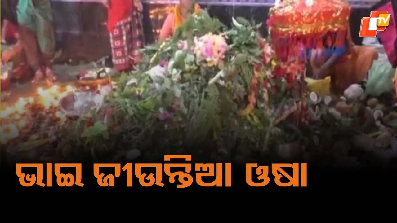 bhai-jiuntia-festival