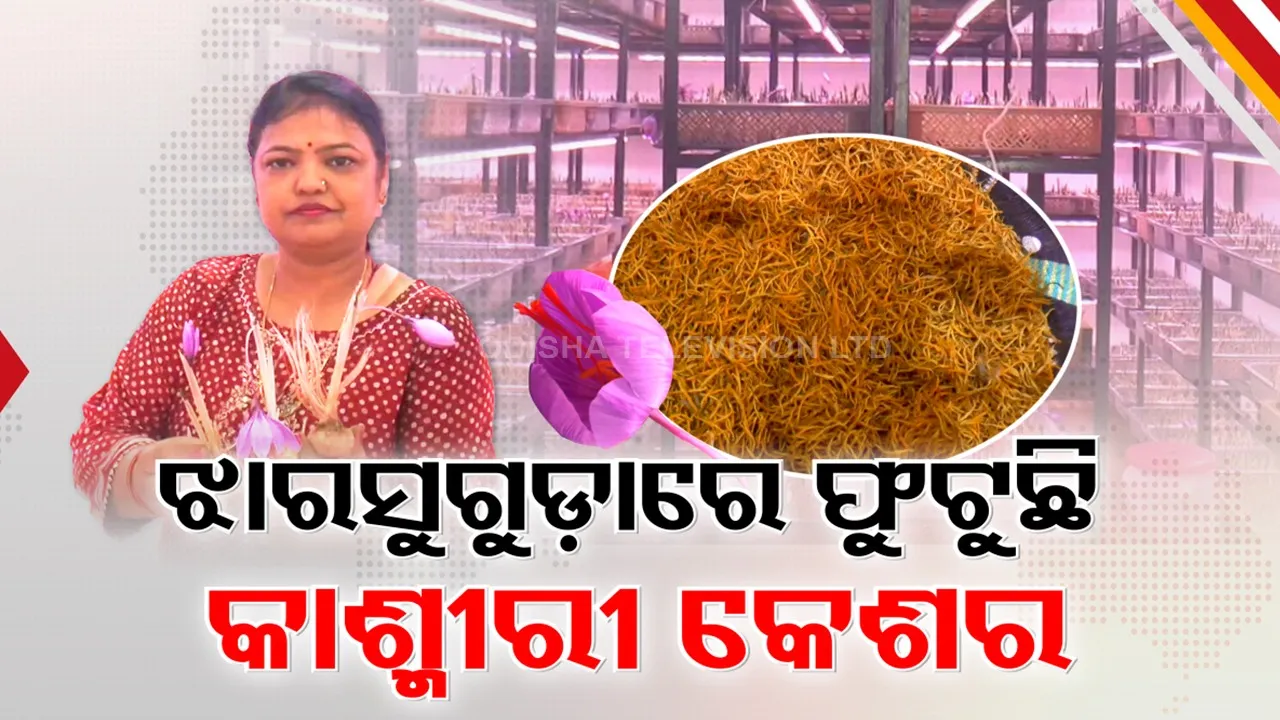 KASMIR-KESHAR-IN-JSG