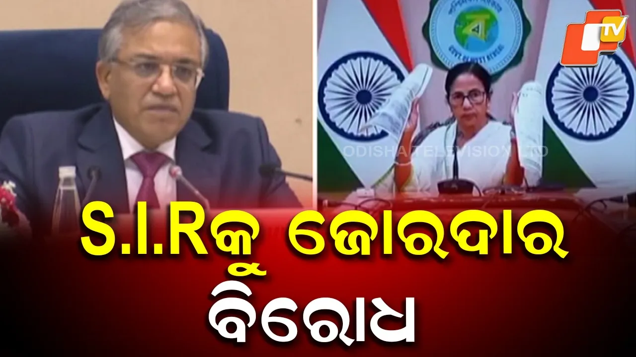 Special Intensive Revision