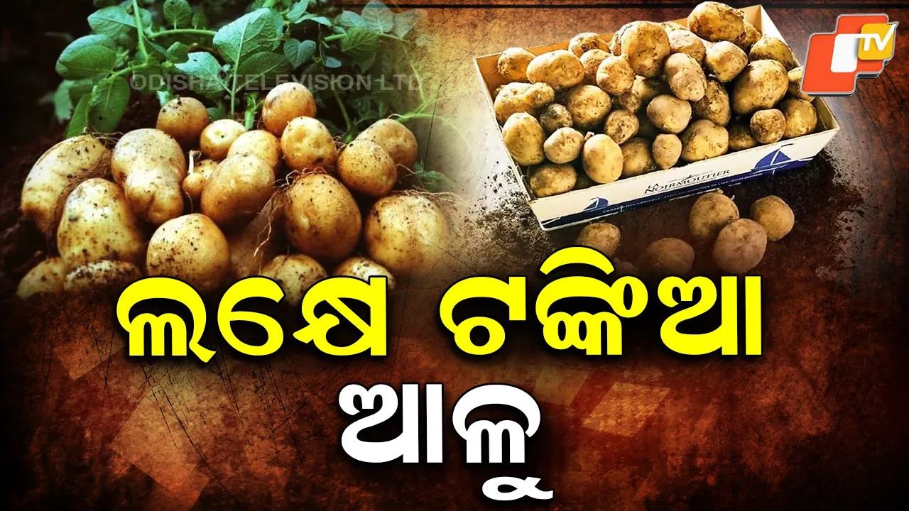 Worlds-Most-Expensive-Potato