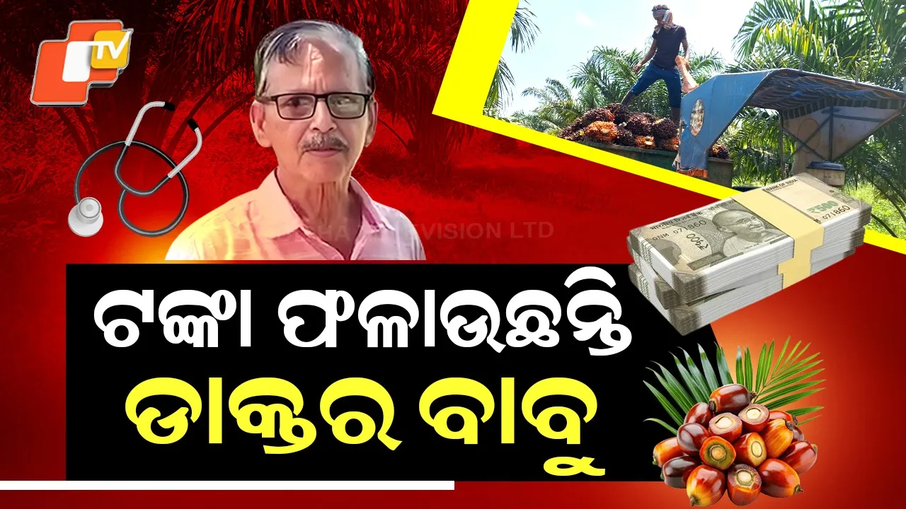 Gunupur-Doctor-Oil-Palm-Farming