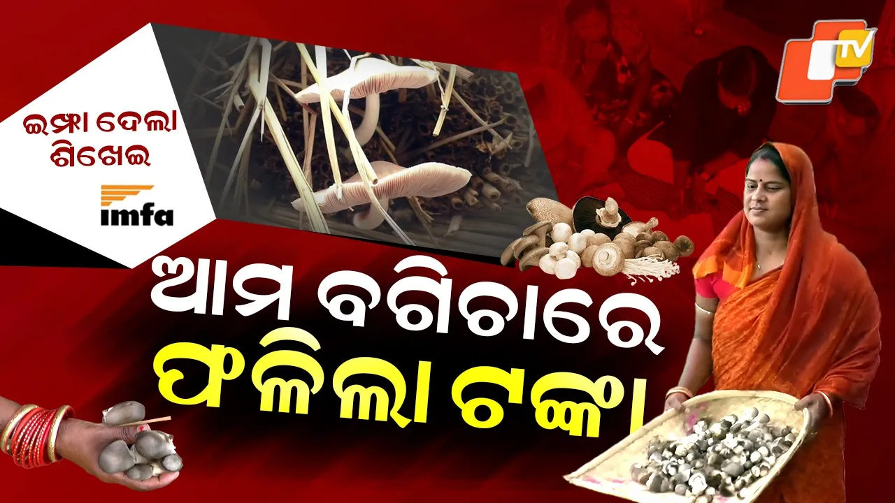 mushroom cultivation