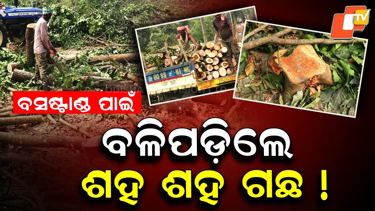 Baripada Deforestation