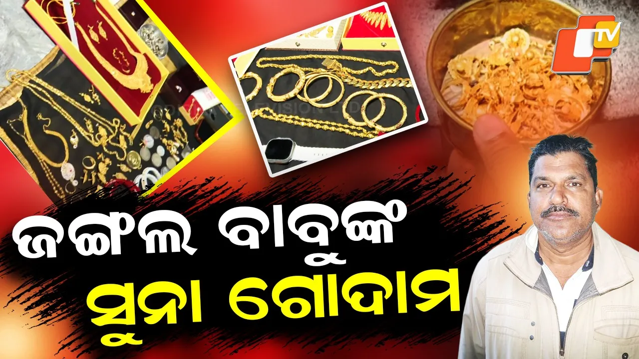 Vigilance Raid Forester House