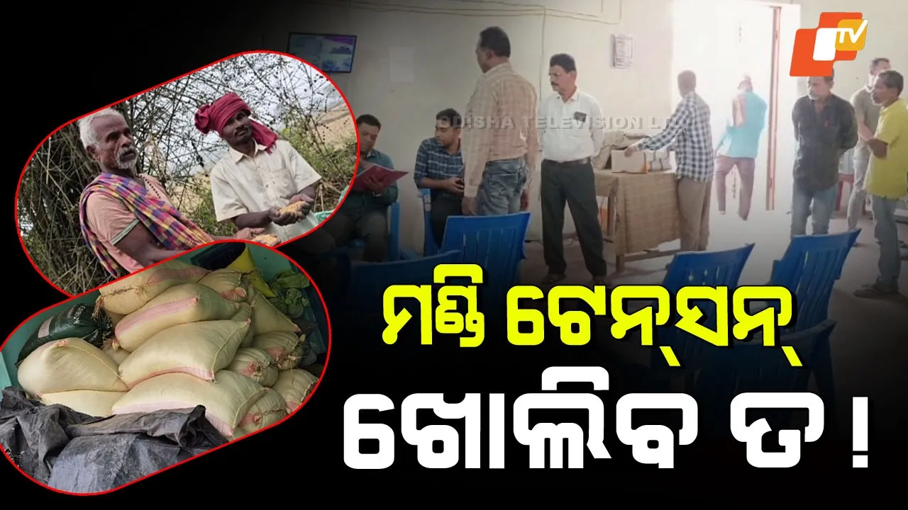 Paddy Mandis Inactive