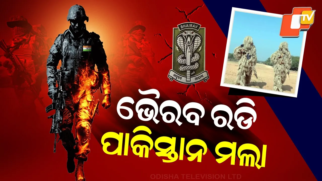 Army-Modern-Warfare-Force