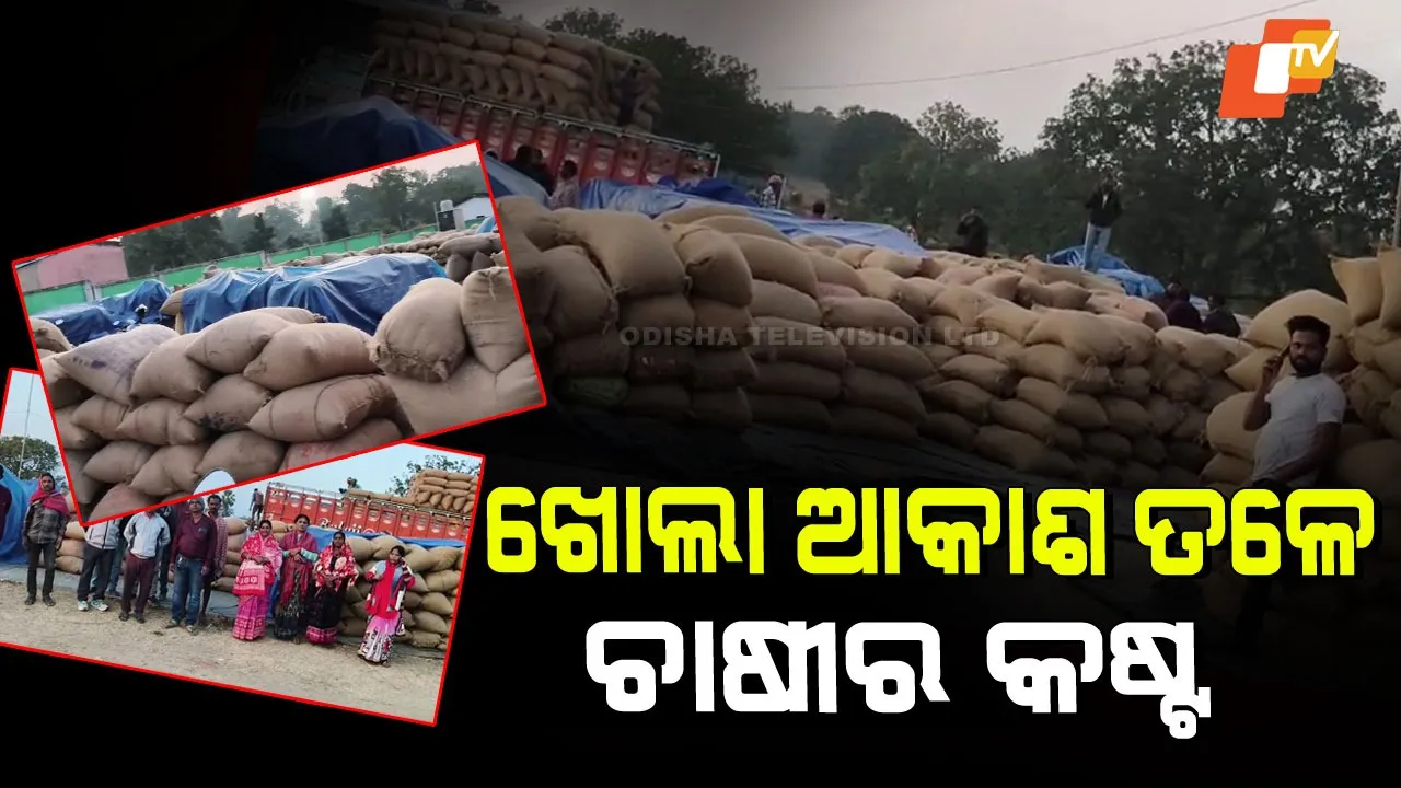 Paddy Procurement Crisis