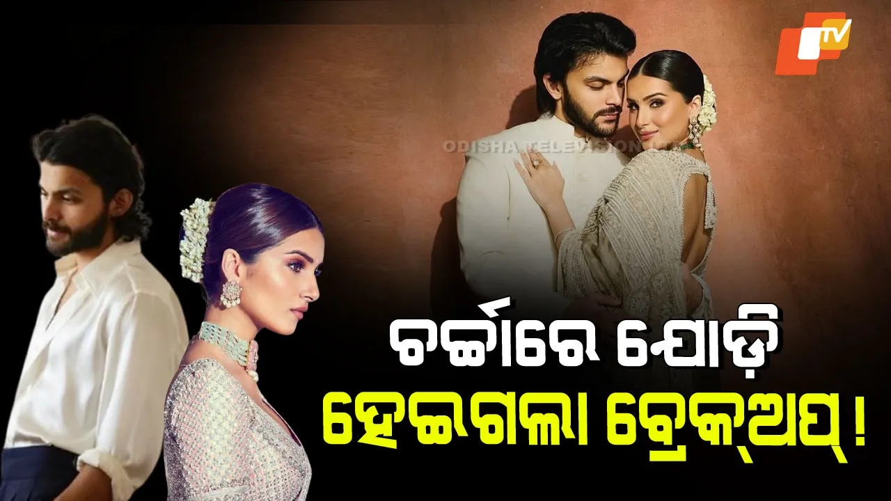 Veer Pahariya Tara Sutaria Breakup