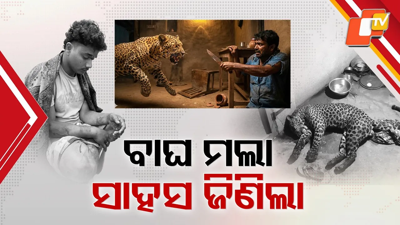 Tiger-Human Clash Shocks Odisha