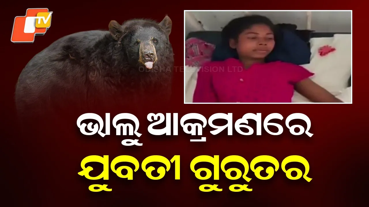 Woman Seriously Injured in Bear Attack