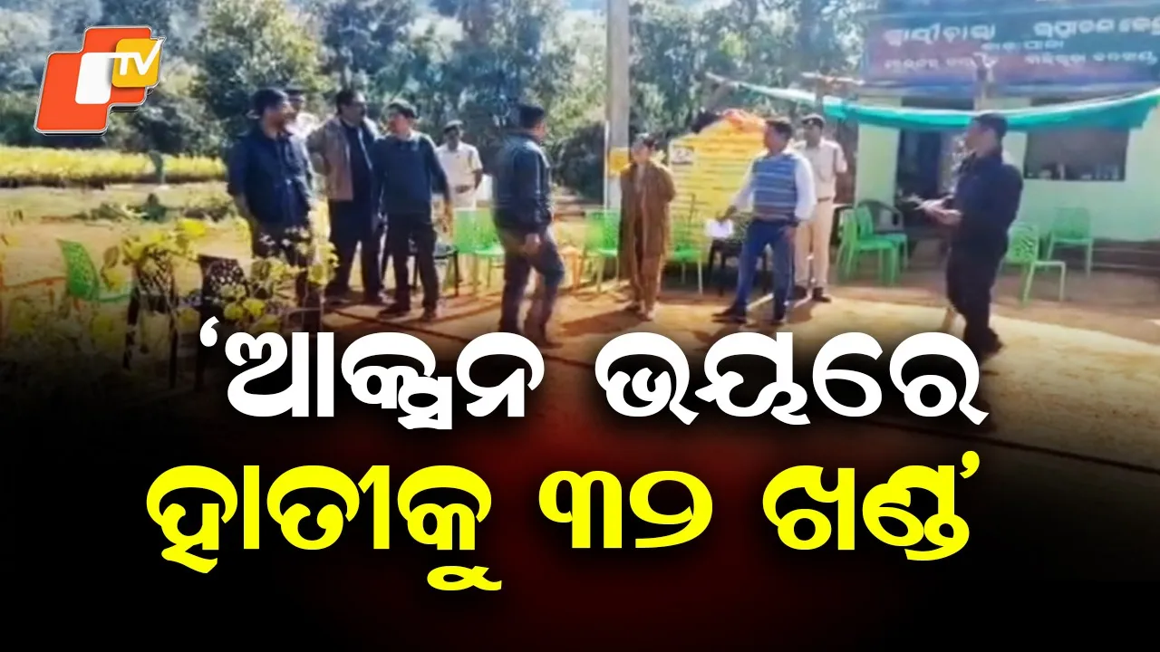 Belghar Elephant Death Case