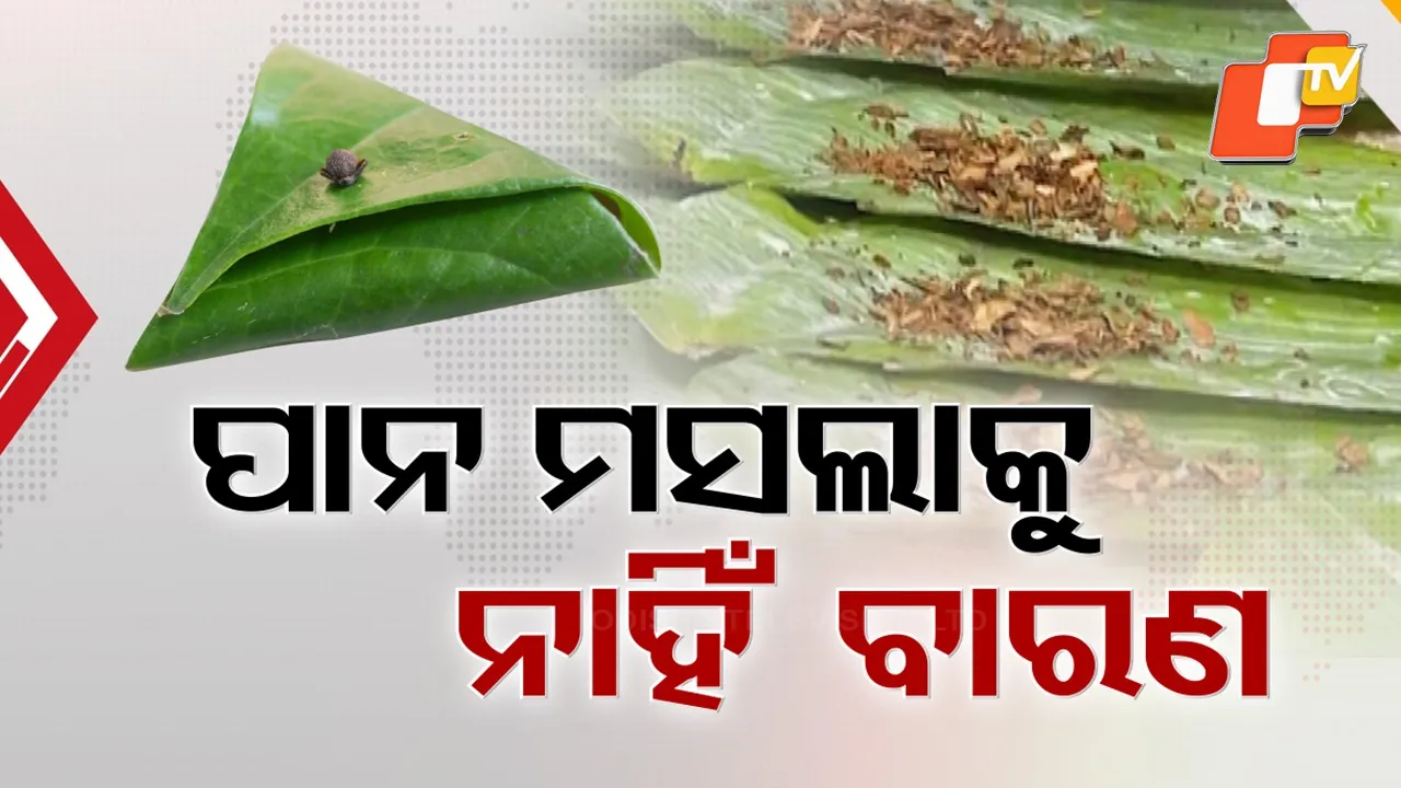 Budget Hopes to Reduce Inflation