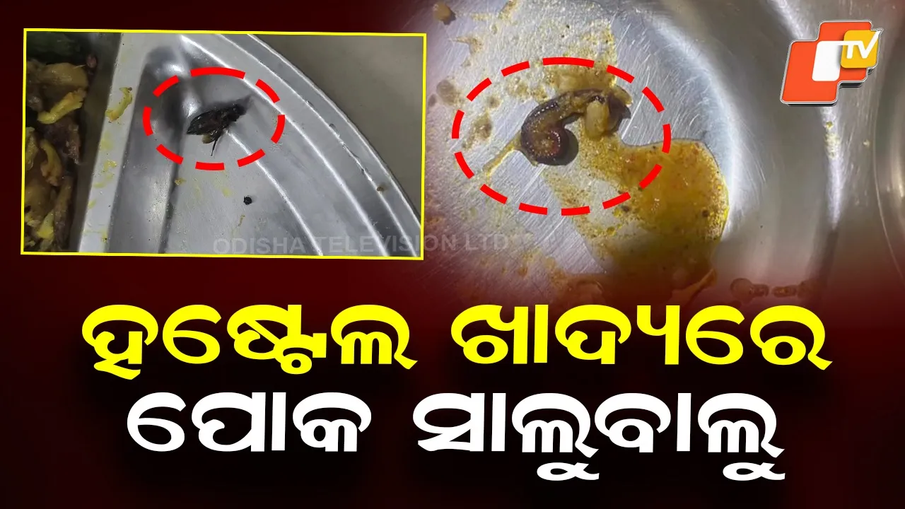 Hostel Food Safety Under Question