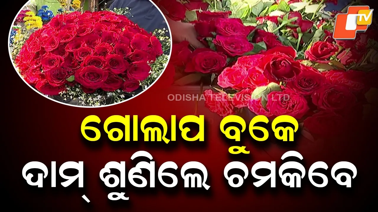 Farmers Sell Roses at Minimal Cost