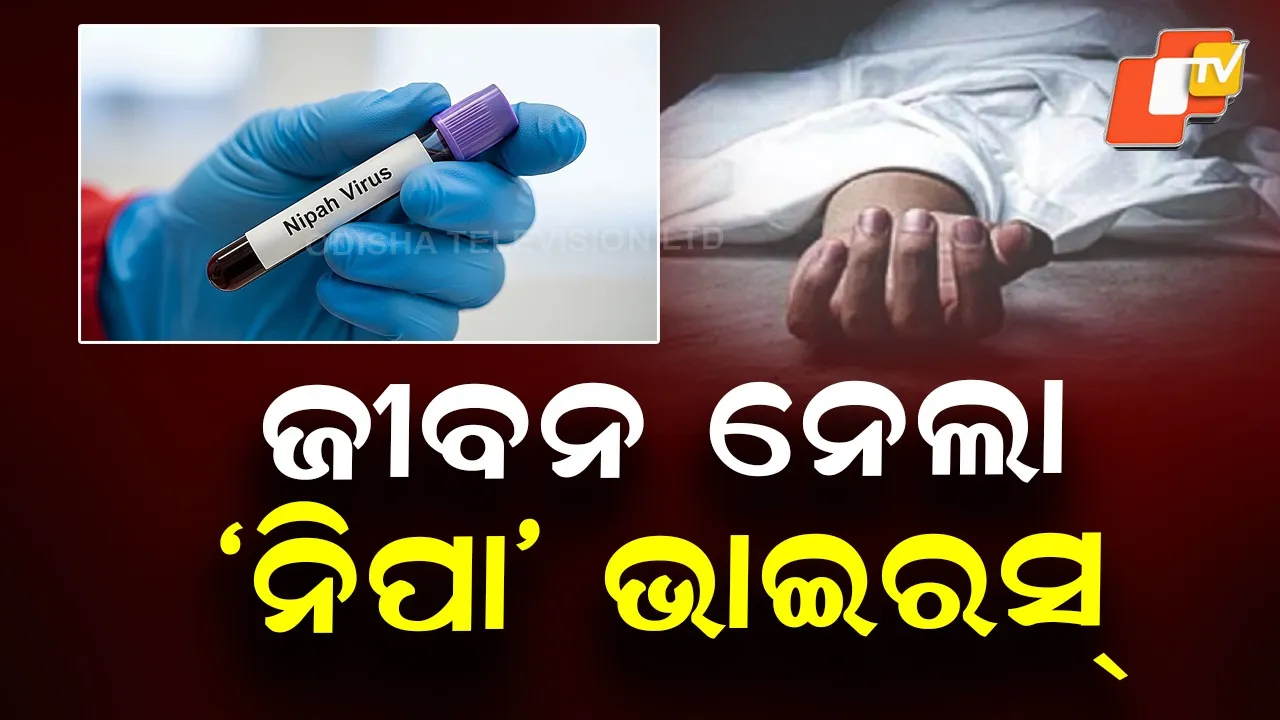 Nipa Virus Claims Life Of 25-Year-Old Nurse