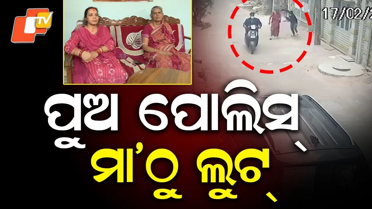 CCTV Footage Captures Daring Theft