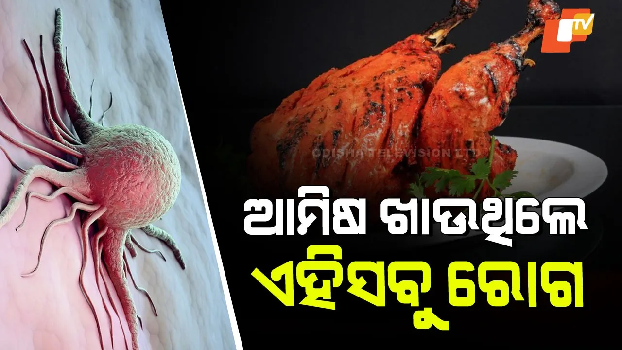 Truth About Non-Veg Diet