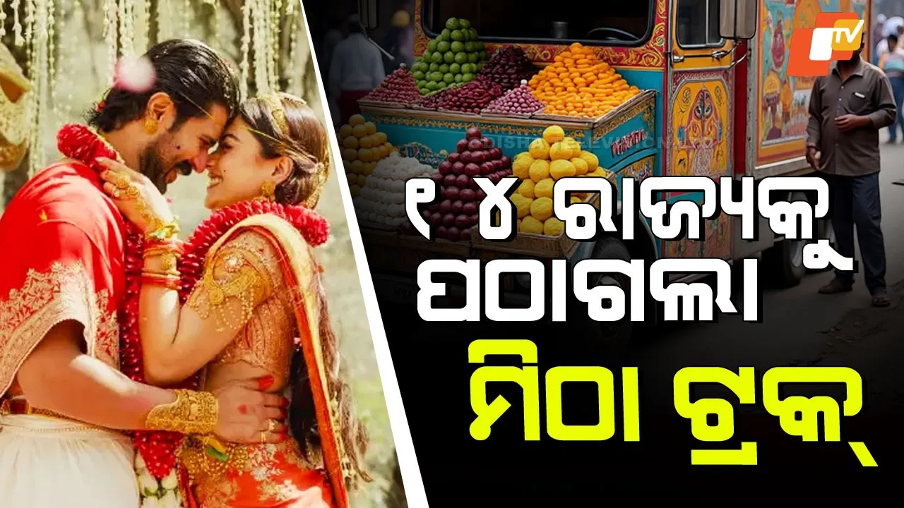 Vijay-Rashmika Grand Wedding