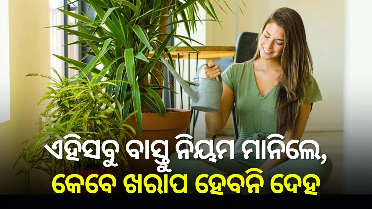 Vaastu Tips For Good Health