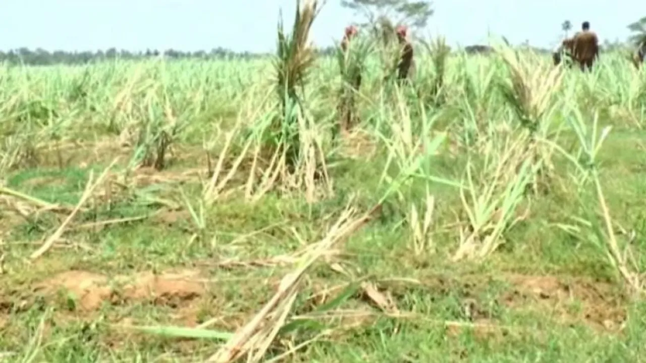 ‘ଫୋନି’ ଦ୍ୱାରା ୧୪ ଜିଲ୍ଲାର ୮୮ ବ୍ଲକ୍‌ ପ୍ରଭାବିତ