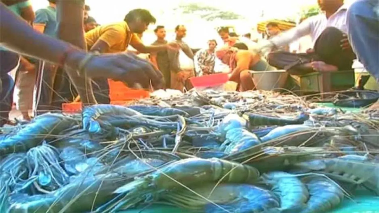 ମଙ୍ଗଳବାରରେ ମାନ୍ଦା ପଡ଼ିଗଲା ଛାଡ଼ଖାଇ !