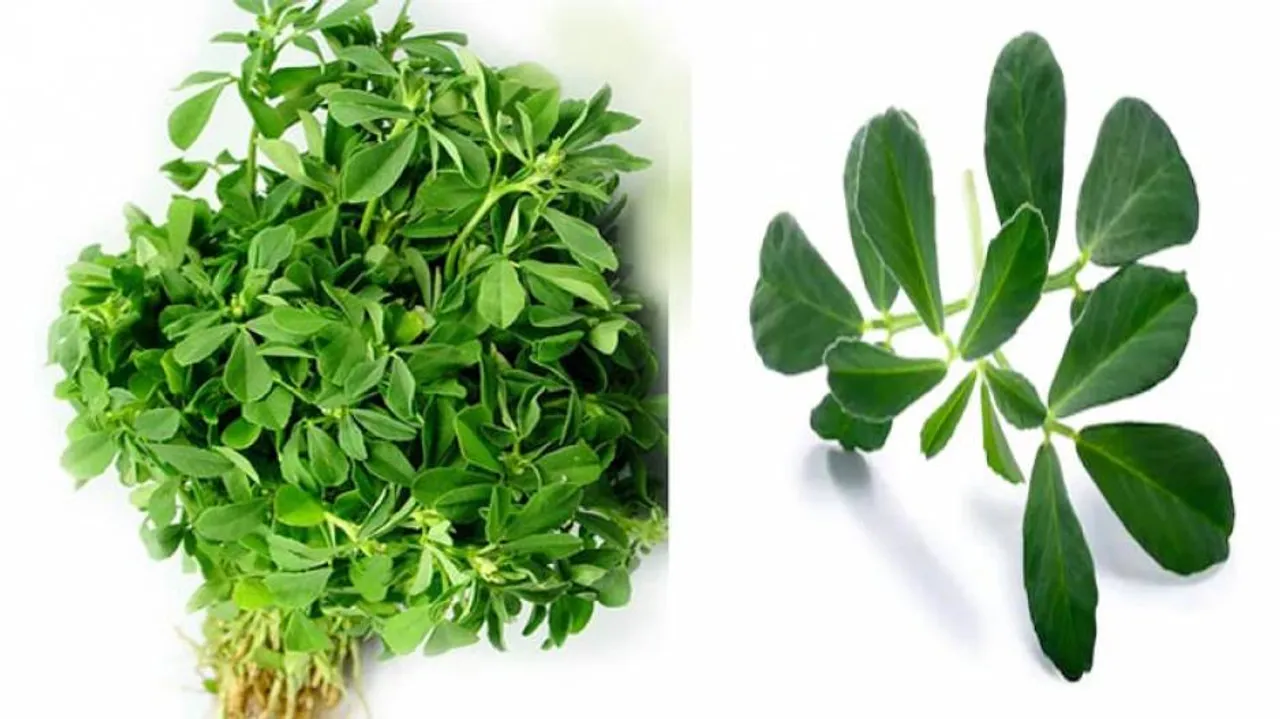 ଡାଇବେଟିସ୍‌ ଏବଂ ହାର୍ଟ ରୋଗୀଙ୍କ ପାଇଁ ଲାଭ ଦାୟକ ଏହି ପତ୍ର