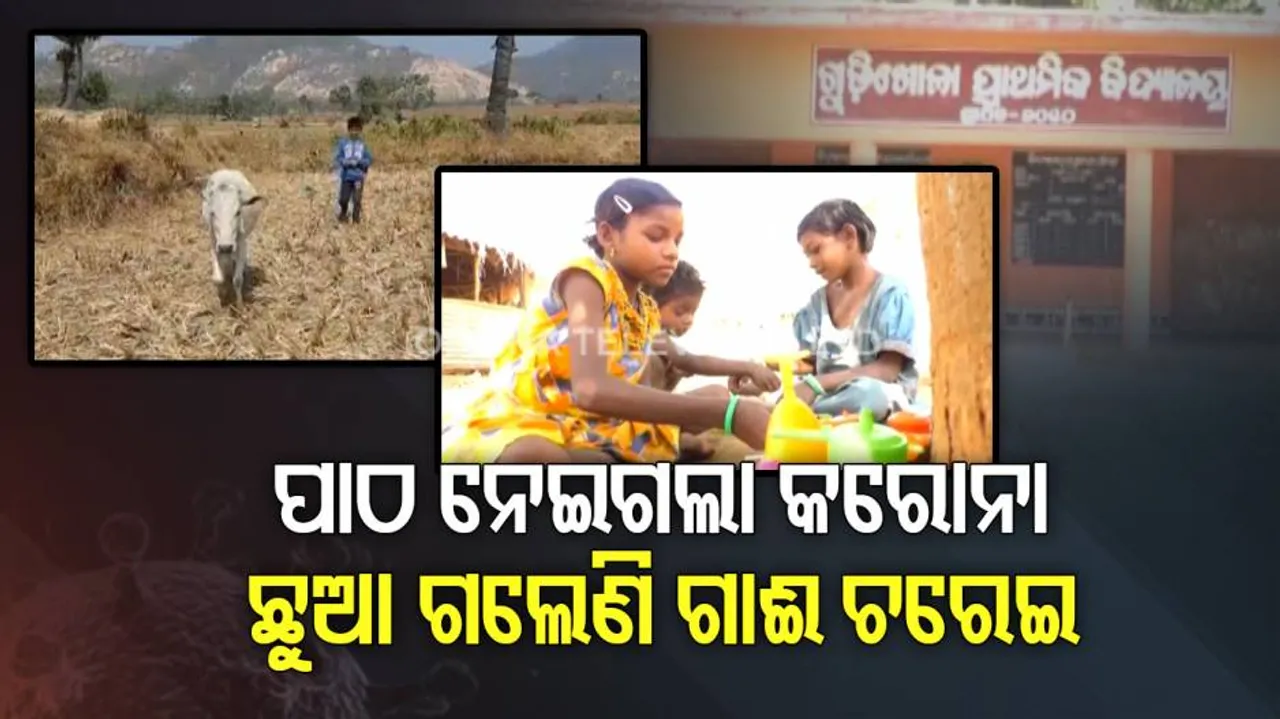 କରୋନା ପରେ ଘରେ ଆଉ ବହି ଖୋଲୁନାହାନ୍ତି ପିଲା...