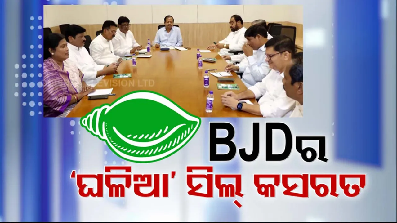 BJD 
