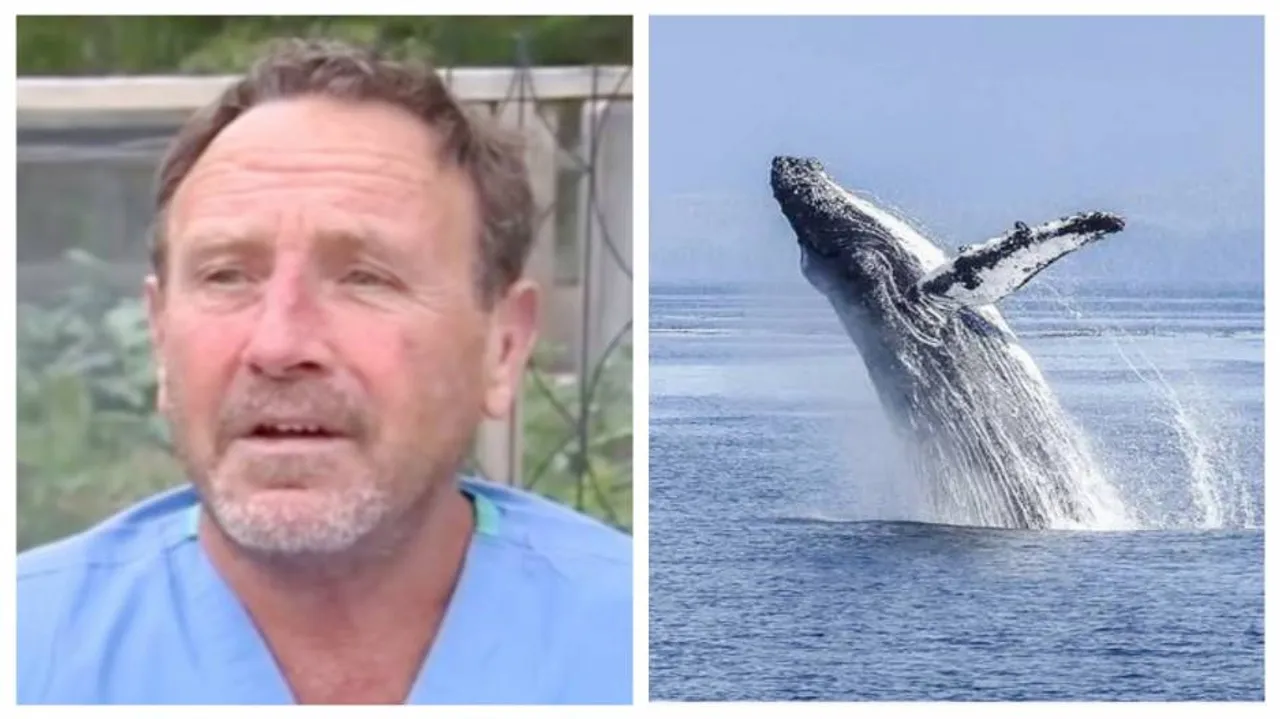 ମୃତ୍ୟୁକୁ ମାତ୍‌ ଦେଇ ତିମି ପାଟିରୁ ଜୀବିତ ଅବସ୍ଥାରେ ବାହାରକୁ ଆସିଲେ ଏହି ବ୍ୟକ୍ତି