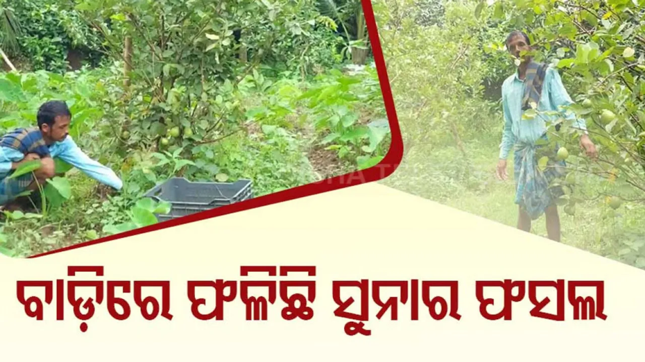 Bhadrak