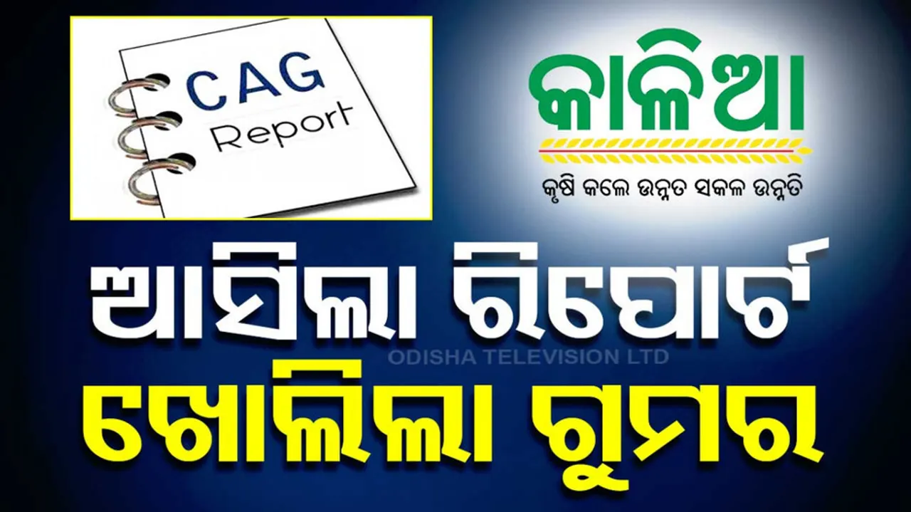 CAG report