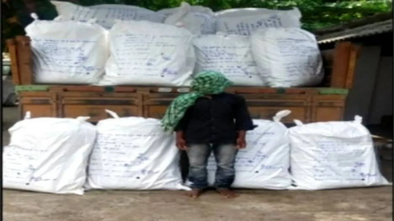 ୩ ଶହ କ୍ୱିଣ୍ଟାଲରୁ ଅଧିକ ପରିମାଣର ଗଞ୍ଜେଇ ଜବତ, କେଉଁଠୁ ଆସିଲା ବଡ଼ ପ୍ରଶ୍ନ..