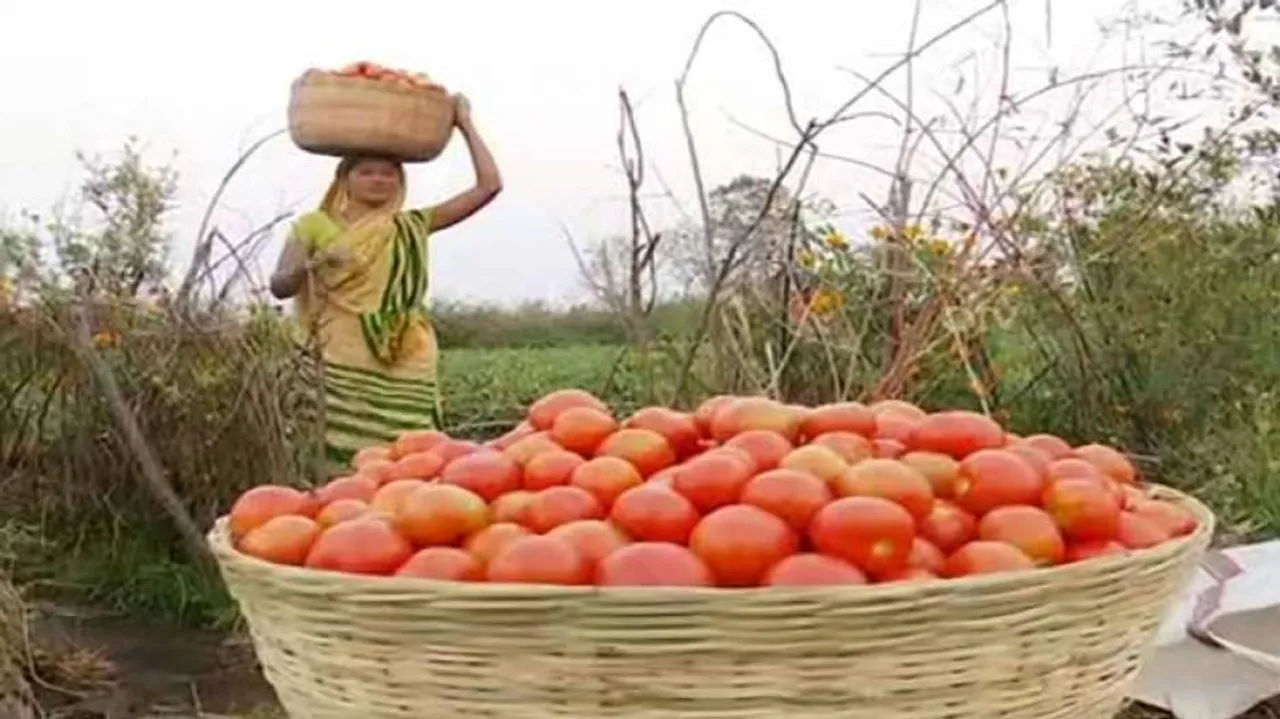 ଭୂତକୋଠି ପାଲଟିଲାଣି ଶୀତଳ ଭଣ୍ଡାର