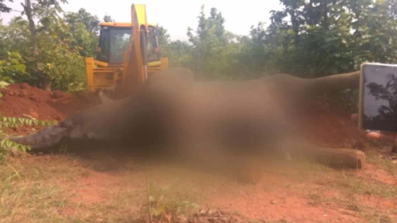 ଜଙ୍ଗଲରୁ ଦନ୍ତାହାତୀର ମୃତଦେହ ଉଦ୍ଧାର