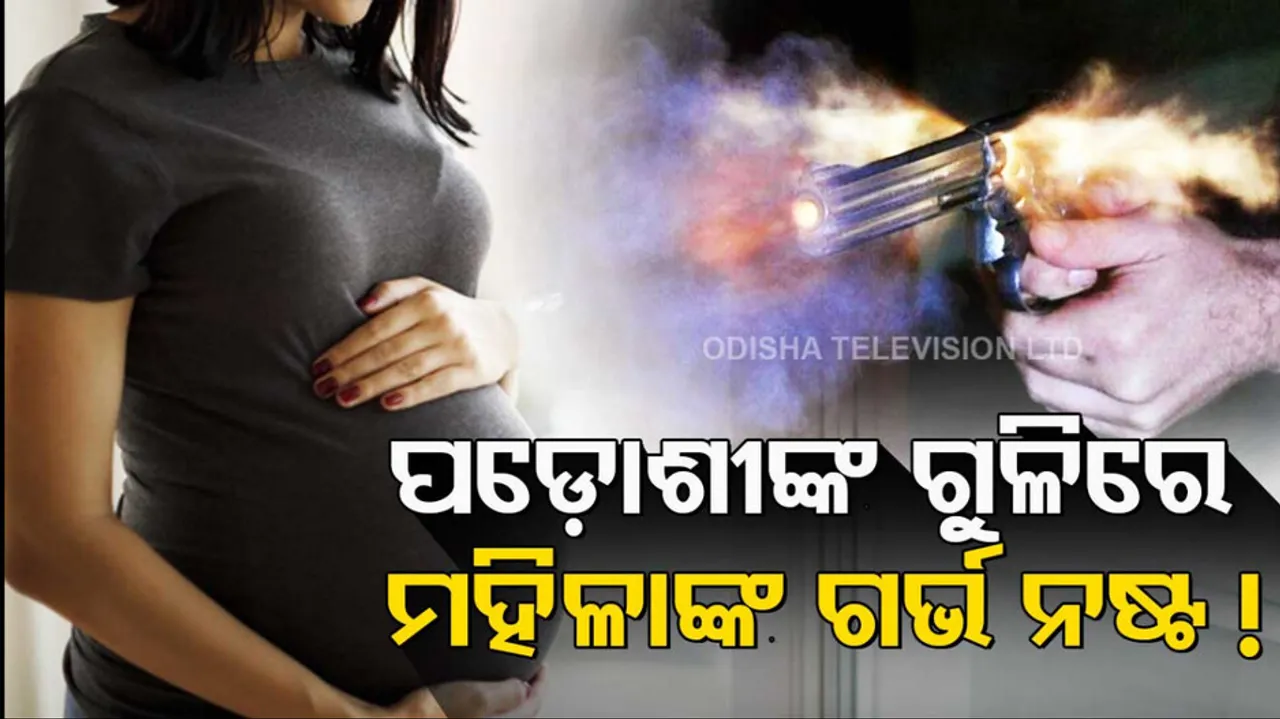 Delhi Pregnant Woman Shot At By Neighbour Over Loud Music