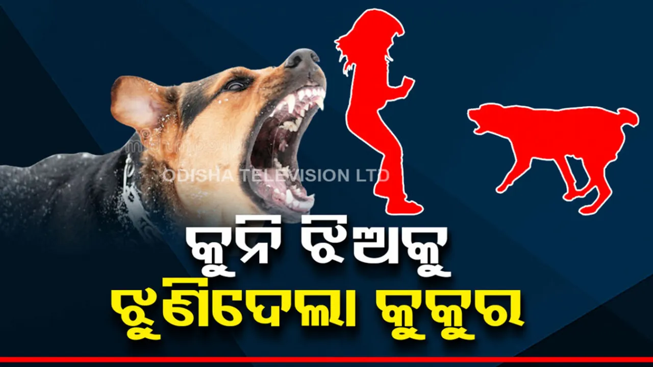 Balangir Street Dog Attack