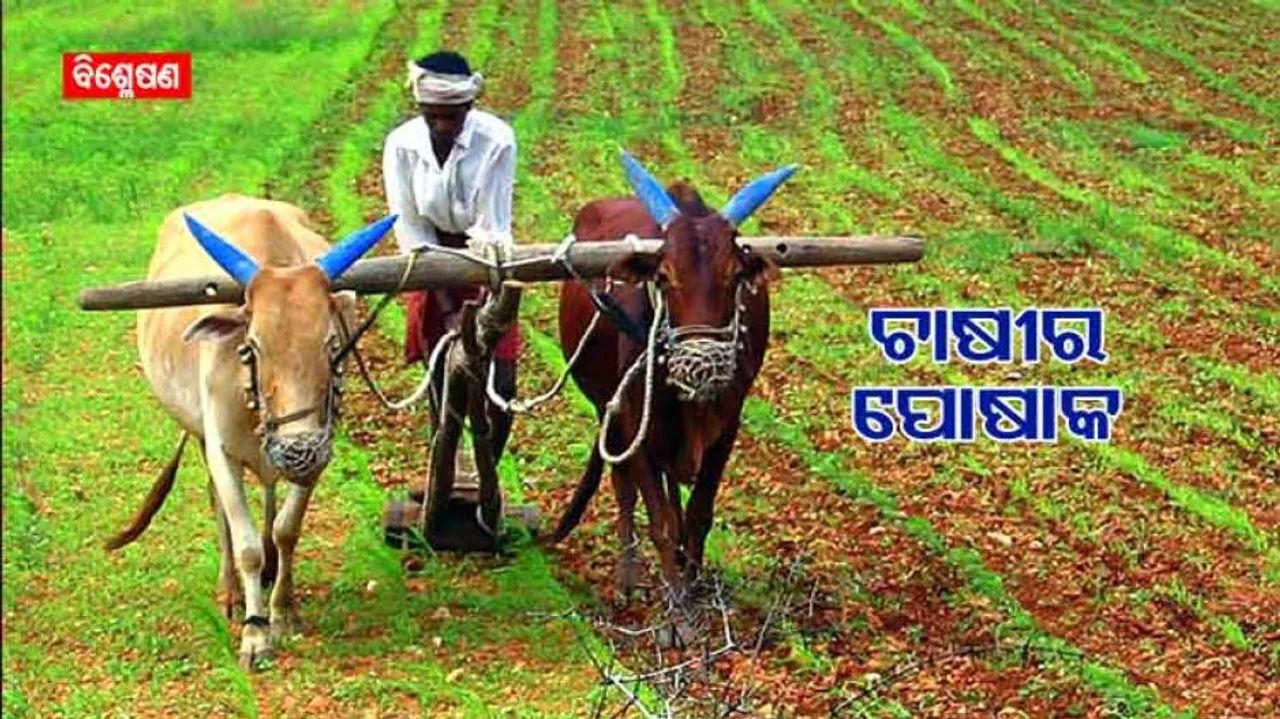 ଚାଷୀର ପୋଷାକ