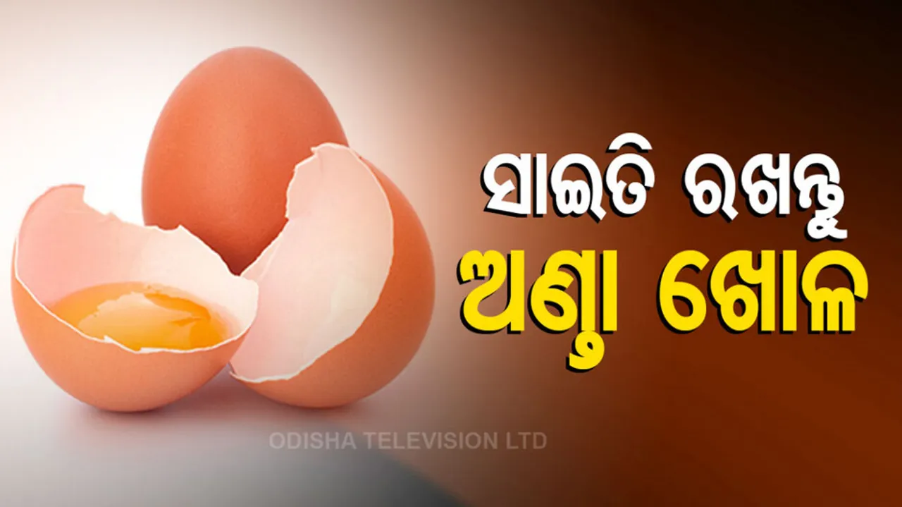 Health Benefits Of Eggshells