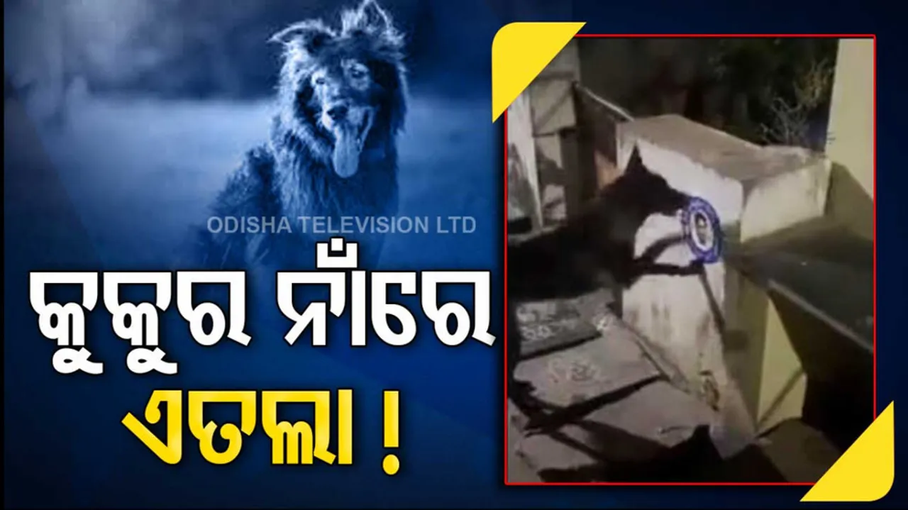 Women File Police Complaint Against Dog