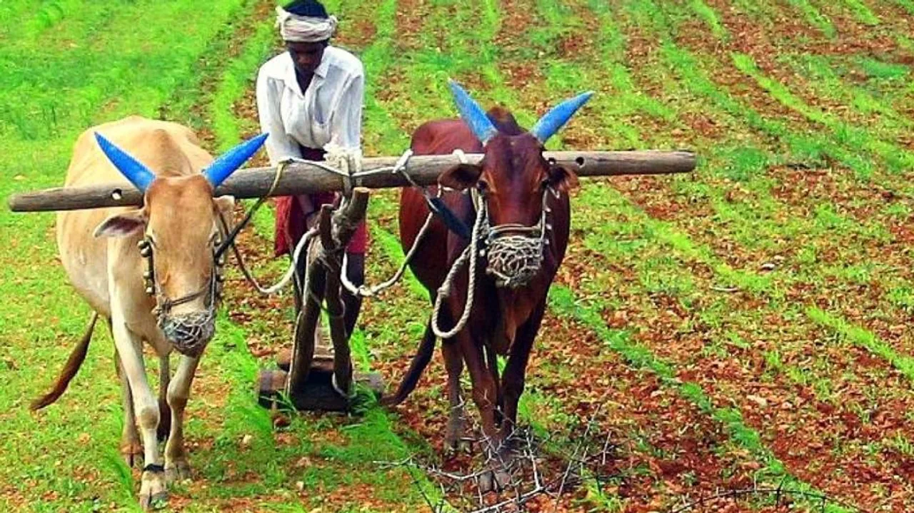କେନ୍ଦ୍ର କ୍ୟାବିନେଟ୍‌ର ବଡ଼ ନିଷ୍ପତ୍ତି: ମଣ୍ଡି ଭିତ୍ତିଭୂମି ସୁଦୃଢ଼ କରିବାକୁ ୧ ଲକ୍ଷ କୋଟି ଟଙ୍କା ଅନୁଦାନକୁ ମିଳିଲା ମଂଜୁରୀ
