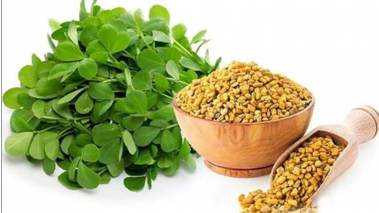 ଗଣ୍ଠି ଯନ୍ତ୍ରଣାରୁ ଆରାମ ଦେଇଥାଏ ମେଥି, ଅନ୍ୟ ଉପକାରକିତା ସମ୍ପର୍କରେ ଜାଣନ୍ତୁ . . . .