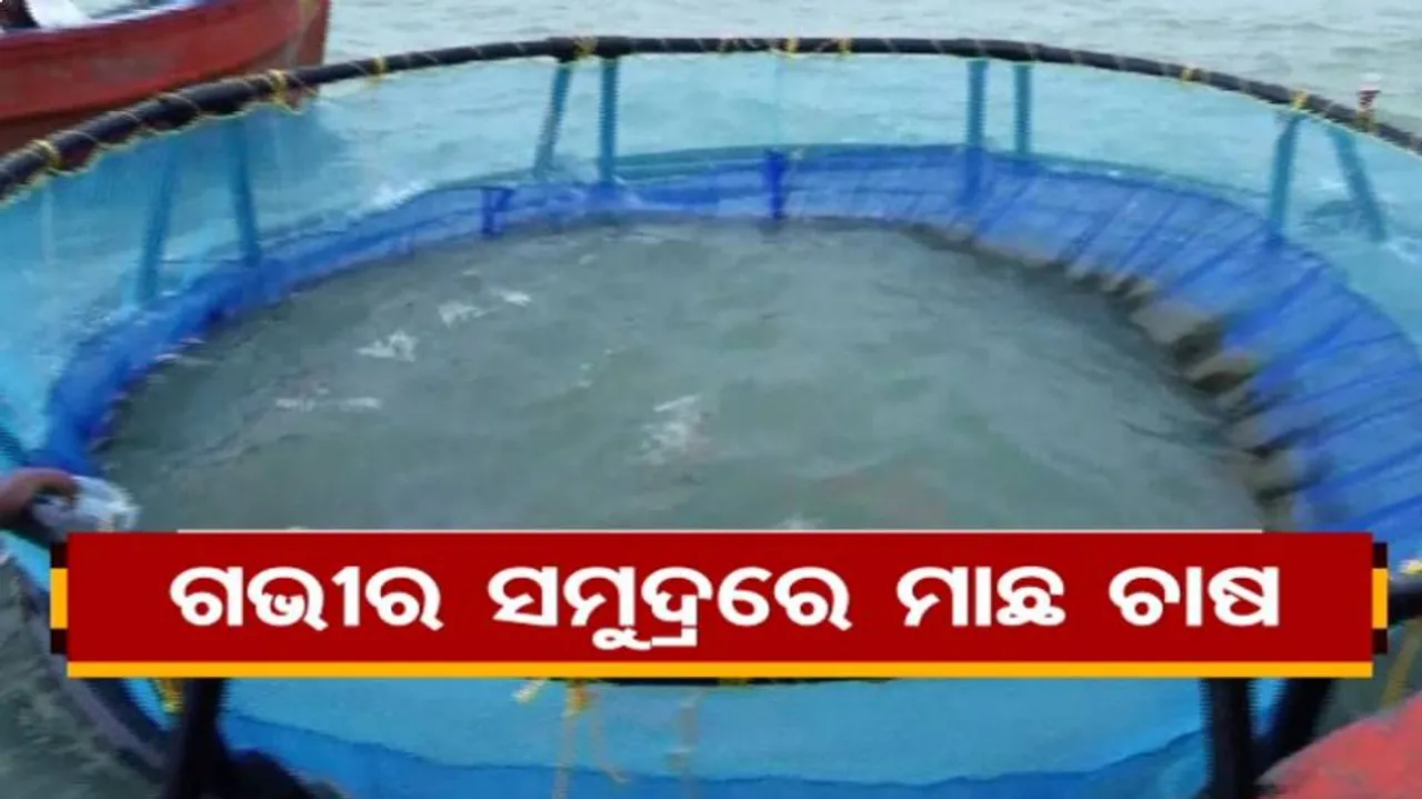 ସମୁଦ୍ର ଭିତରେ ଅକାତକାତ ଜଳରେ ମାଛଚାଷ