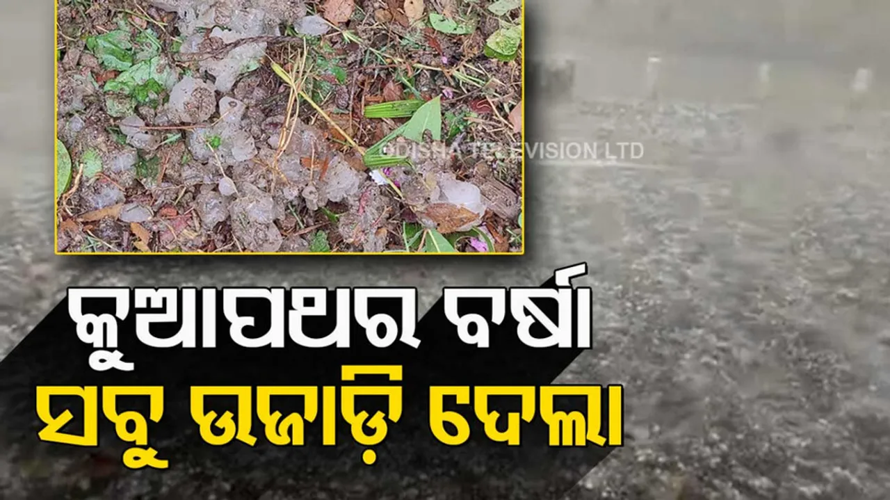 Hailstorm Damage Crop In Odisha
