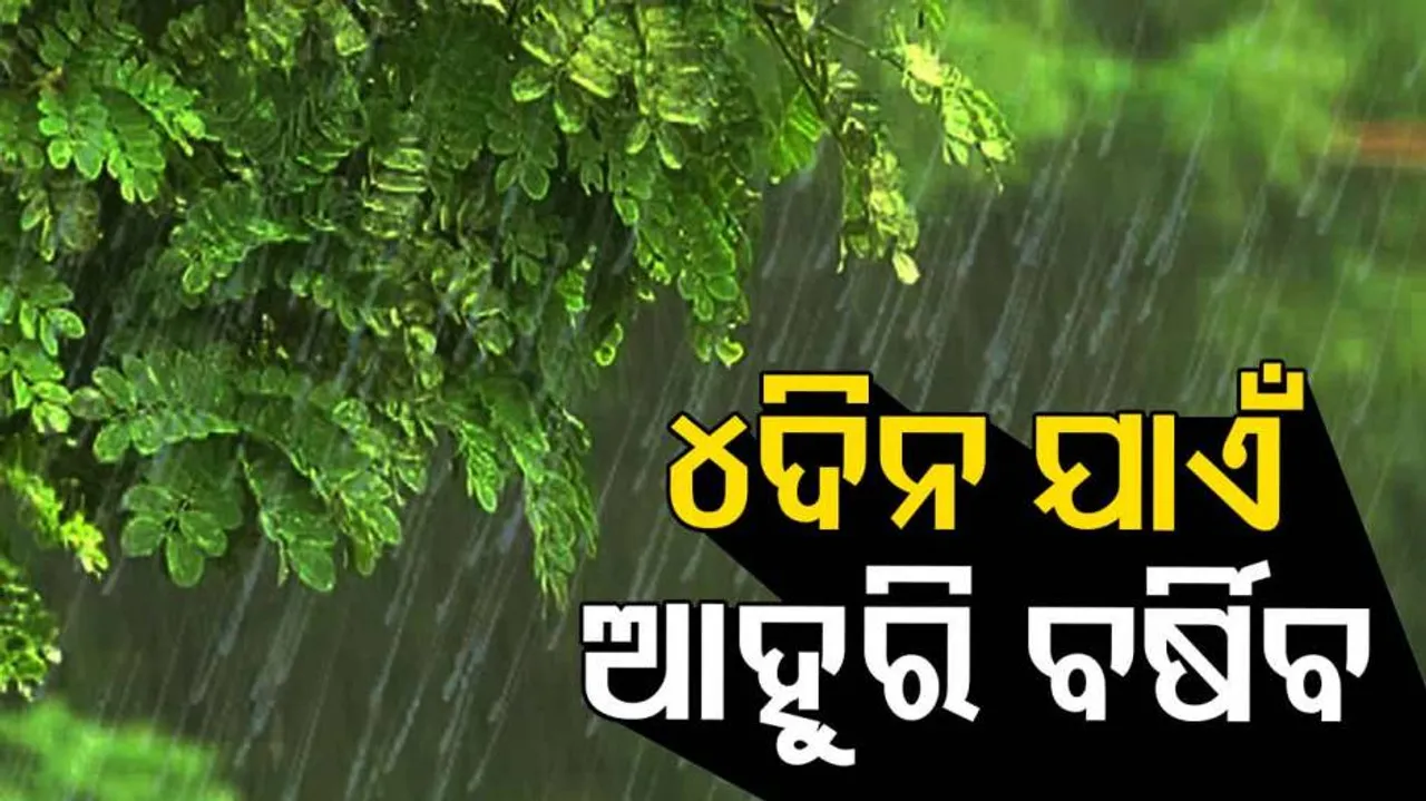 Heavy Rain