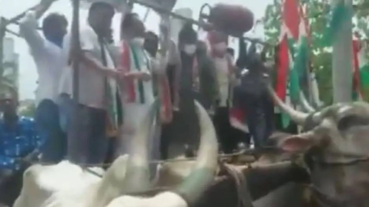 ଶଗଡ଼ରେ ଚଢ଼ି ତୈଳ ଦର ବୃଦ୍ଧି ପ୍ରତିବାଦରେ ଗର୍ଜନ ତର୍ଜନ କରୁଥିଲେ କଂଗ୍ରେସ କର୍ମୀ,ହଠାତ୍ ପ୍ରଚଣ୍ଡ ଶଦ୍ଦ . .