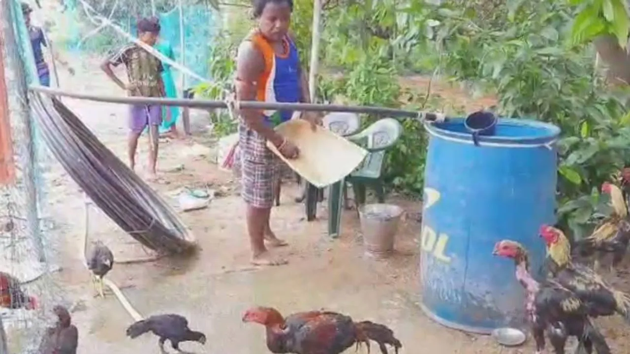 ଜଗଦୀଶଙ୍କୁ ଭିନ୍ନ ପରିଚୟ ଦେଇଛି ଫାଇଟର କୁକୁଡ଼ା ଚାଷ : ଗୋଟିଏ କୁକୁଡ଼ାର ମୂଲ୍ୟ ୬ରୁ ୧୦ ହଜାର