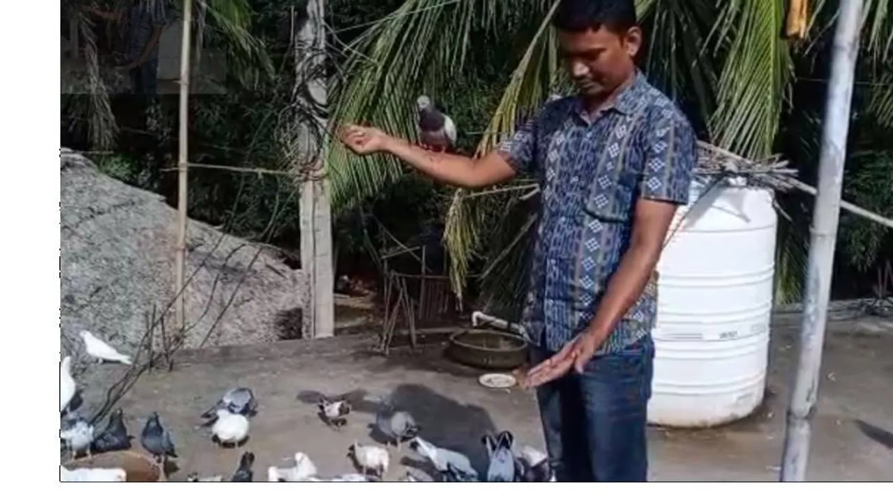 ପକ୍ଷୀଙ୍କ ପ୍ରେମରେ ଡାକ କର୍ମଚାରୀ